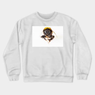 Bumble Bee Crewneck Sweatshirt